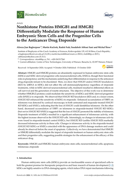 Nonhistone Proteins HMGB1 and HMGB2 Differentially Modulate The