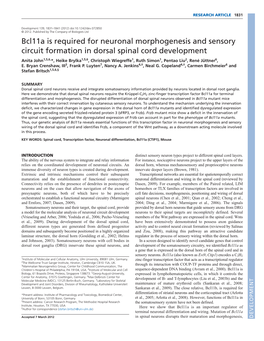 Bcl11a Is Required for Neuronal Morphogenesis and Sensory Circuit