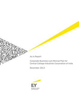 As Is Report Corporate Business-Cum-Revival Plan for CCIC