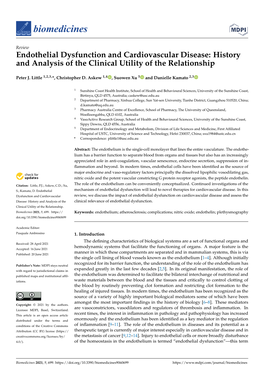 Endothelial Dysfunction and Cardiovascular Disease: History and Analysis of the Clinical Utility of the Relationship