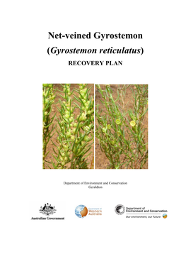 Gyrostemon Reticulatus) RECOVERY PLAN