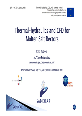 Thermal-Hydraulics and CFD for Molten Salt Rectors