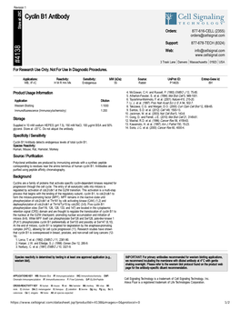 Cyclin B1 Antibody A