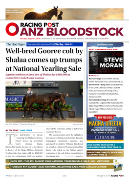 Well-Bred Gooree Colt by Shalaa Comes up Trumps at National Yearling Sale | 2 | Tuesday, August 4, 2020