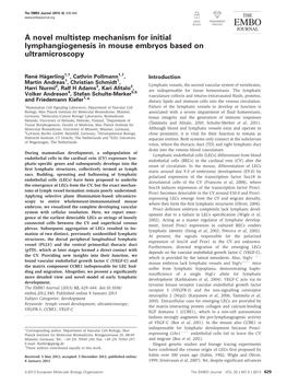 A Novel Multistep Mechanism for Initial Lymphangiogenesis in Mouse Embryos Based on Ultramicroscopy