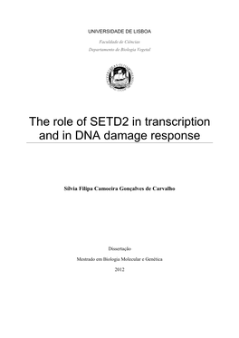 The Role of SETD2 in Transcription and in DNA Damage Response