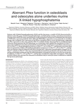 Aberrant Phex Function in Osteoblasts and Osteocytes Alone Underlies Murine X-Linked Hypophosphatemia Baozhi Yuan,1 Masanori Takaiwa,1 Thomas L