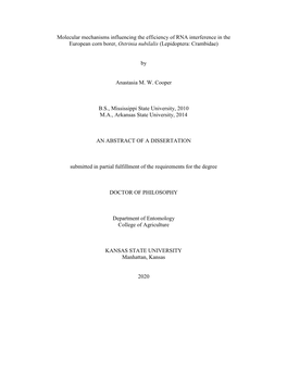 Molecular Mechanisms Influencing the Efficiency of RNA Interference in the European Corn Borer, Ostrinia Nubilalis (Lepidoptera: Crambidae)