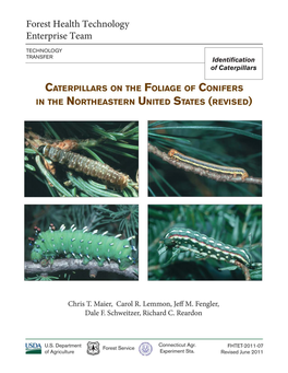 Caterpillars on the Foliage of Conifers in the Northeastern United States 1 Life Cycles and Food Plants