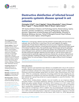 Destructive Disinfection of Infected Brood Prevents Systemic Disease