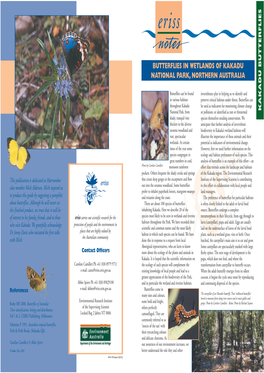 Butterflies in Wetlands of Kakadu National Park, Northern Australia