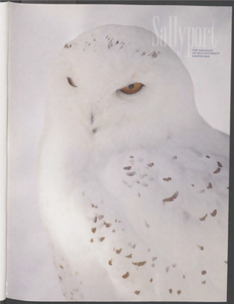 THE MAGAZINE of RICE UNIVERSITY WINTER 2002 Owls Are Erudite