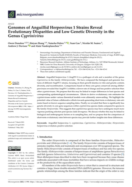 Genomes of Anguillid Herpesvirus 1 Strains Reveal Evolutionary Disparities and Low Genetic Diversity in the Genus Cyprinivirus