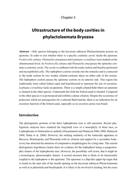 Ultrastructure of the Body Cavities in Phylactolaemata Bryozoa