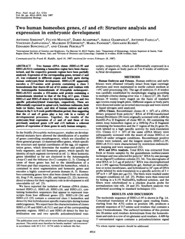 Two Human Homeobox Genes, Cl and C8