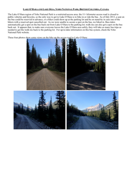 The Lake O'hara Region of Yoho National