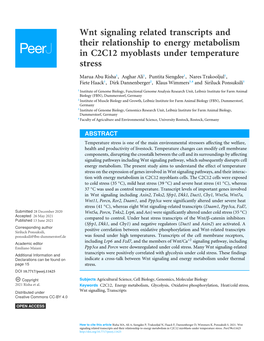 Wnt Signaling Related Transcripts and Their Relationship to Energy Metabolism in C2C12 Myoblasts Under Temperature Stress