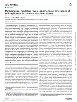 Mathematical Modeling Reveals Spontaneous Emergence of Self