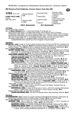 YEARLING, Consigned by Herbertstown House Stud (Co. Limerick), Ireland