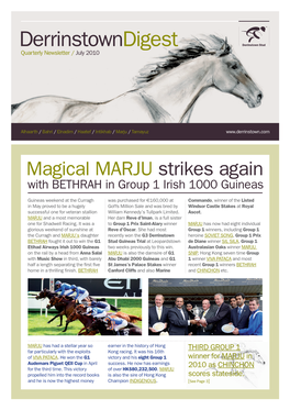 Derrinstowndigest Derrinstown Stud Quarterly Newsletter / July 2010