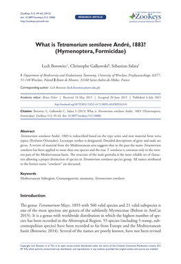 What Is Tetramorium Semilaeve André, 1883? (Hymenoptera, Formicidae)