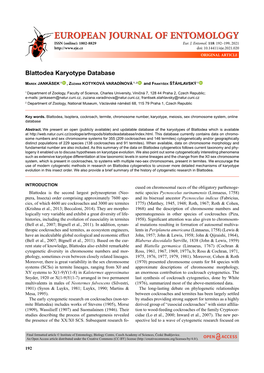 Blattodea Karyotype Database