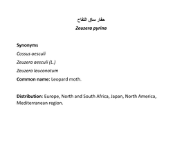 حفار ساق التفاح Zeuzera Pyrina Synonyms Cossus Aesculi Zeuzera