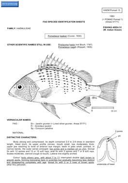 FAO SPECIES IDENTIFICATION SHEETS (Areas 57/71) FAMILY