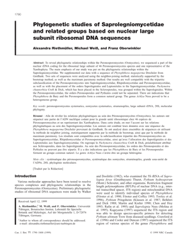 Phylogenetic Studies of Saprolegniomycetidae and Related Groups Based on Nuclear Large Subunit Ribosomal DNA Sequences