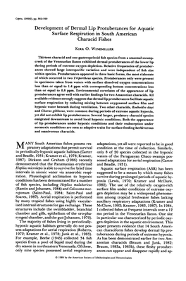 Development of Dermal Lip Protuberances for Aquatic Surface Respiration in South American Characid Fishes