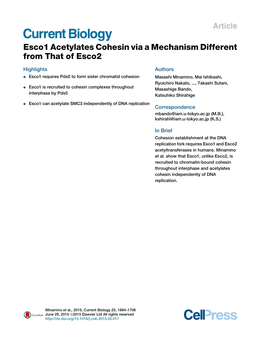 Esco1 Acetylates Cohesin Via a Mechanism Different from That of Esco2