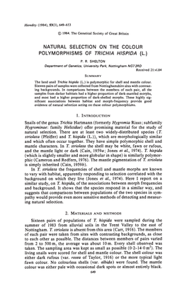 Natural Selection on the Colour Polymorphisms of Trichia Hispida