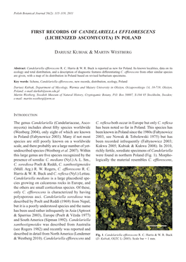 First Records of Candelariella Efflorescens (Lichenized Ascomycota) in Poland