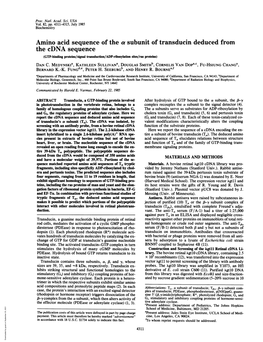 Amino Acid Sequence of the a Subunit of Transducin Deducedfrom the Cdna Sequence