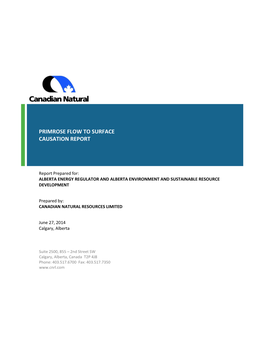 Primrose Flow to Surface Causation Report