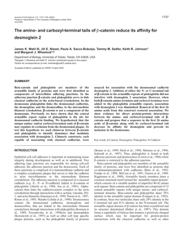 Does (Beta)-Catenin Interact with Desmoglein?