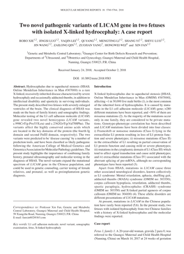 Two Novel Pathogenic Variants of L1CAM Gene in Two Fetuses with Isolated X‑Linked Hydrocephaly: a Case Report