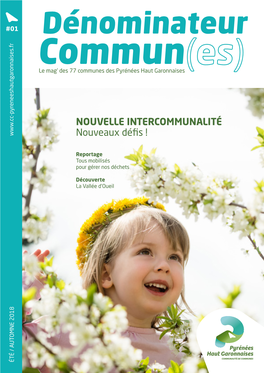 Nouvelle Intercommunalité Nouveaux Défis !