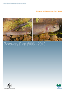 Recovery Plan 2006 - 2010 Disclaimer