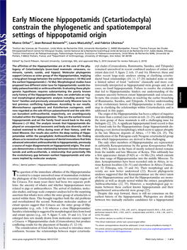 Early Miocene Hippopotamids (Cetartiodactyla) Constrain the Phylogenetic and Spatiotemporal Settings of Hippopotamid Origin