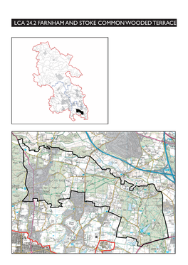 Lca 24.2 Farnham and Stoke Common Wooded Terrace