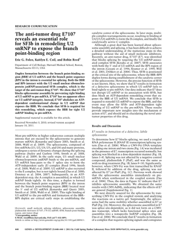 The Anti-Tumor Drug E7107 Reveals an Essential Role for Sf3b In