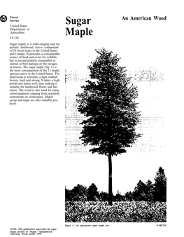 Sugar Maple Is a Wide-Ranging and Im- Portant Hardwood Tree-A Component of 23 Forest Types in the United States and Canada