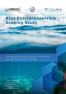 Blue Entrepreneurship Scoping Study