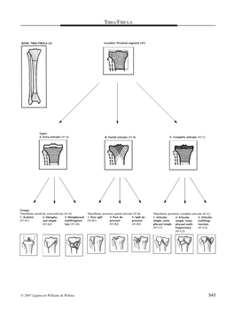 Tibia/Fibula