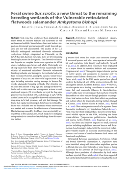 Feral Swine Sus Scrofa: a New Threat to the Remaining Breeding Wetlands of the Vulnerable Reticulated Flatwoods Salamander Ambystoma Bishopi