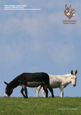 The Donkey Sanctuary Annual Review 2012 Our Work and Achievements in “I Love Everything 2012 and Strategy for 2013 About Donkeys