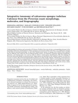 Integrative Taxonomy of Calcareous Sponges (Subclass Calcinea) from the Peruvian Coast: Morphology, Molecules, and Biogeography