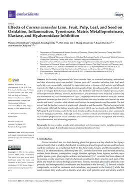 Effects of Carissa Carandas Linn. Fruit, Pulp, Leaf, and Seed on Oxidation, Inﬂammation, Tyrosinase, Matrix Metalloproteinase, Elastase, and Hyaluronidase Inhibition