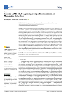 Cardiac Camp-PKA Signaling Compartmentalization in Myocardial Infarction